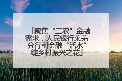 聚焦“三农”金融需求，人民银行莱芜分行引金融“活水”绽乡村振兴之花