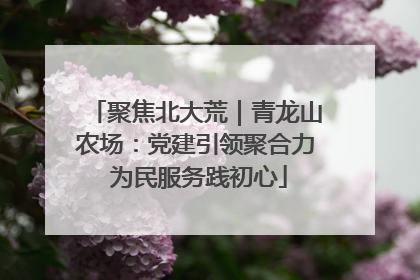 聚焦北大荒｜青龙山农场：党建引领聚合力 为民服务践初心