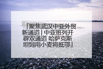 聚焦武汉中亚外贸新通道│中亚班列开辟双通道 哈萨克斯坦饲用小麦将抵鄂