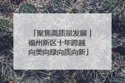 聚焦高质量发展｜福州新区十年跨越 向美向绿向质向新