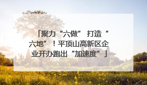 聚力“六做” 打造“六地”！平顶山高新区企业开办跑出“加速度”