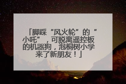 脚踩“风火轮”的“小吒”，可脱离遥控板的机器狗，泡桐树小学来了新朋友！