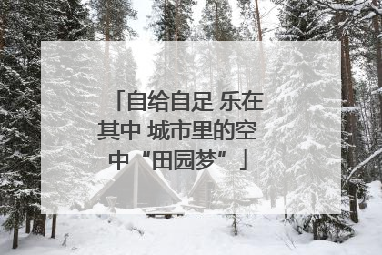 自给自足 乐在其中 城市里的空中“田园梦”