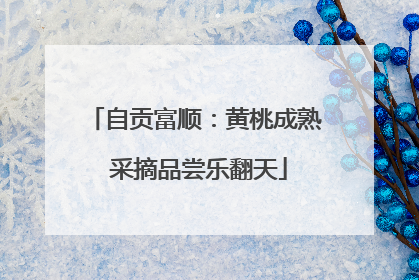 自贡富顺：黄桃成熟 采摘品尝乐翻天