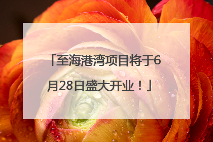 至海港湾项目将于6月28日盛大开业！