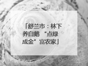 舒兰市：林下养白鹅 “点绿成金”富农家