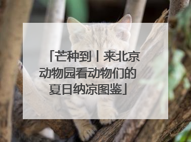 芒种到丨来北京动物园看动物们的夏日纳凉图鉴