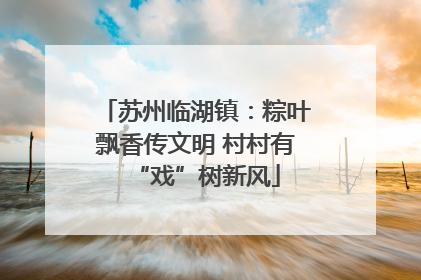 苏州临湖镇：粽叶飘香传文明 村村有“戏”树新风