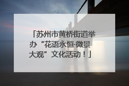 苏州市黄桥街道举办“花语永恒·微景大观”文化活动！