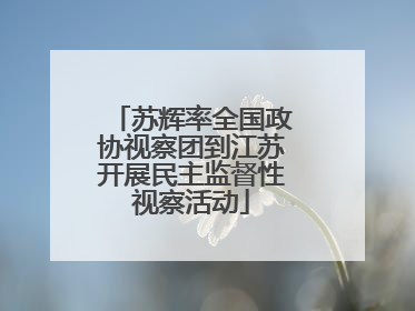 苏辉率全国政协视察团到江苏开展民主监督性视察活动