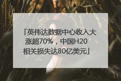 英伟达数据中心收入大涨超70%，中国H20相关损失达80亿美元