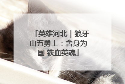 英雄河北｜狼牙山五勇士：舍身为国 铁血英魂