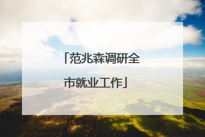 范兆森调研全市就业工作