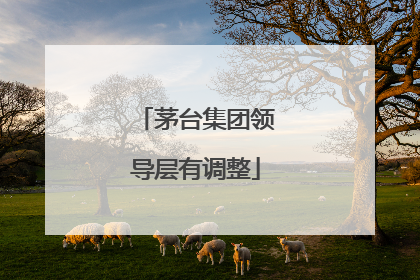 茅台集团领导层有调整
