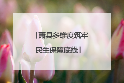 萧县多维度筑牢民生保障底线