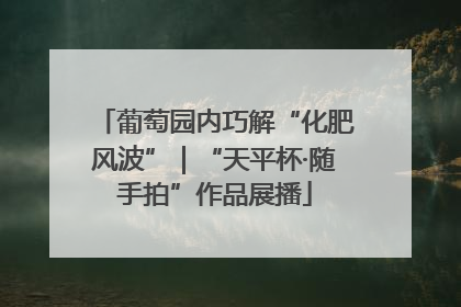 葡萄园内巧解“化肥风波”｜“天平杯·随手拍”作品展播