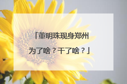 董明珠现身郑州 为了啥？干了啥？