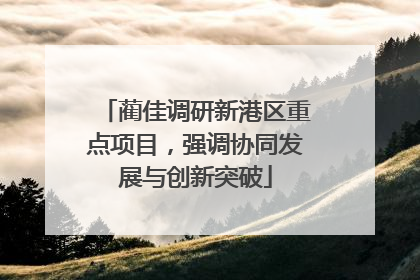 蔺佳调研新港区重点项目，强调协同发展与创新突破