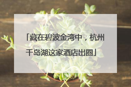 藏在碧波金湾中，杭州千岛湖这家酒店出圈