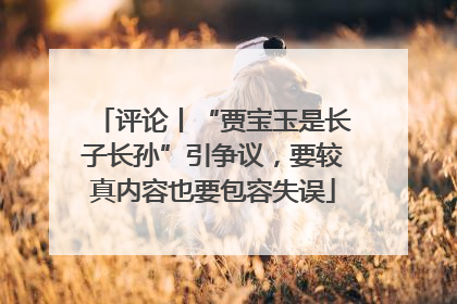 评论丨“贾宝玉是长子长孙”引争议，要较真内容也要包容失误