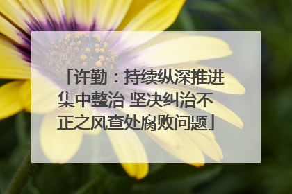 许勤：持续纵深推进集中整治 坚决纠治不正之风查处腐败问题