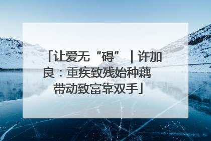 让爱无“碍”｜许加良：重疾致残始种藕 带动致富靠双手