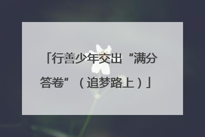 行善少年交出“满分答卷”（追梦路上）