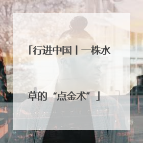 行进中国丨一株水草的“点金术”