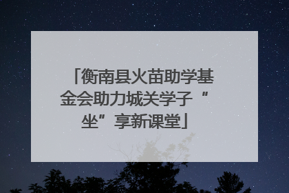 衡南县火苗助学基金会助力城关学子“坐”享新课堂