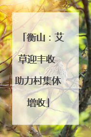 衡山：艾草迎丰收 助力村集体增收