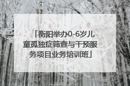 衡阳举办0-6岁儿童孤独症筛查与干预服务项目业务培训班
