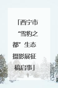 西宁市“雪豹之都”生态摄影展征稿启事