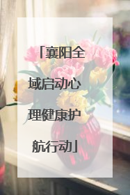 襄阳全域启动心理健康护航行动