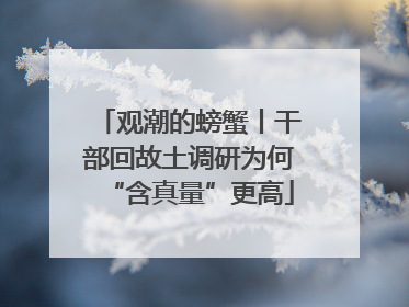观潮的螃蟹丨干部回故土调研为何“含真量”更高