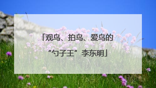 观鸟、拍鸟、爱鸟的“勺子王”李东明