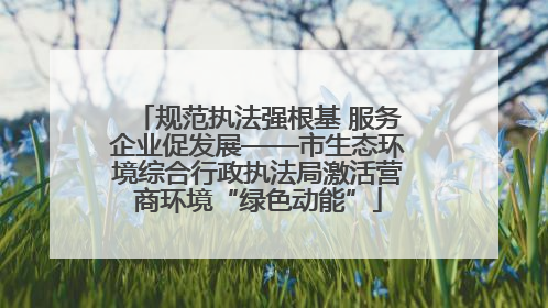 规范执法强根基 服务企业促发展——市生态环境综合行政执法局激活营商环境“绿色动能”