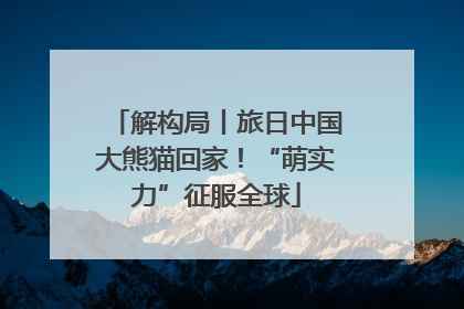 解构局丨旅日中国大熊猫回家！“萌实力”征服全球
