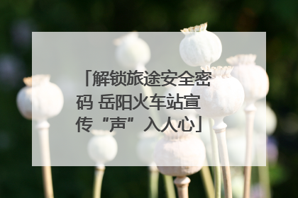解锁旅途安全密码 岳阳火车站宣传“声”入人心