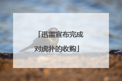 迅雷宣布完成对虎扑的收购