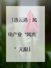 连云港：风电产业“风光”无限