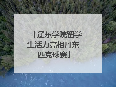 辽东学院留学生活力亮相丹东匹克球赛