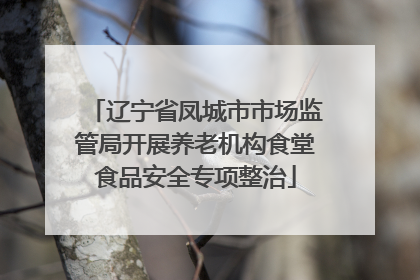 辽宁省凤城市市场监管局开展养老机构食堂食品安全专项整治
