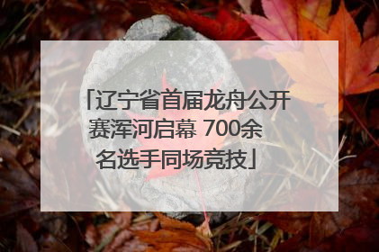 辽宁省首届龙舟公开赛浑河启幕 700余名选手同场竞技