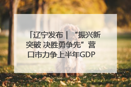 辽宁发布｜“振兴新突破 决胜勇争先”营口市力争上半年GDP增长6%左右