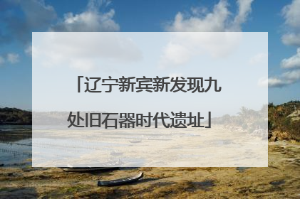 辽宁新宾新发现九处旧石器时代遗址