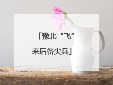 豫北“飞”来后备尖兵