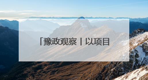 豫政观察丨以项目之进看发展之势