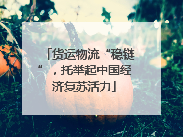 货运物流“稳链”，托举起中国经济复苏活力