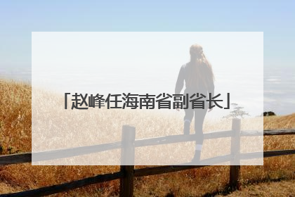 赵峰任海南省副省长