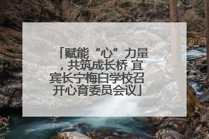 赋能“心”力量，共筑成长桥 宜宾长宁梅白学校召开心育委员会议